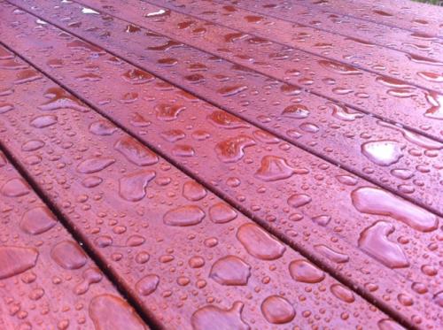 Ipe_geölt_wasserabperlend