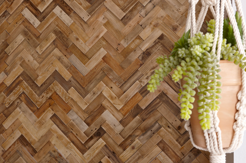 Fichte zickzack Form