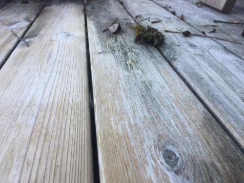 Holzterrasse reinigen pflege