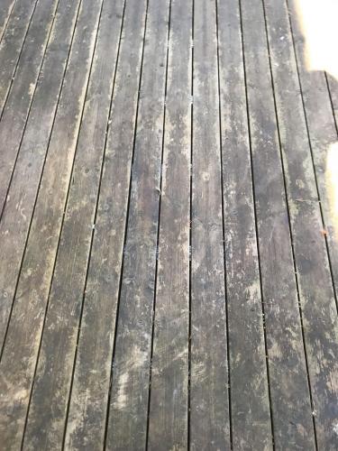 Pflege Holzterrasse (1)